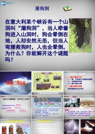 九年级化学全册 22 奇妙的二氧化碳课件 (新版)沪教版 课件