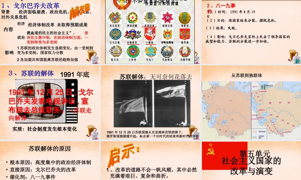 九年级历史下册 第 11课课件 新人教版 课件