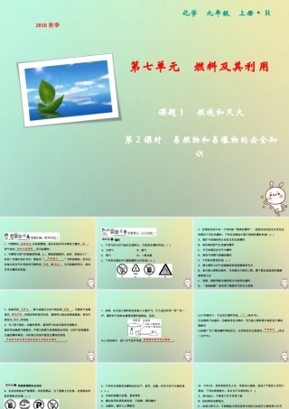 九年级化学上册 第7单元 燃料及其利用 课题1 燃烧和灭火 第2课时 易燃物和易爆物的安全知识作业课件 (新版)新人教版 课件