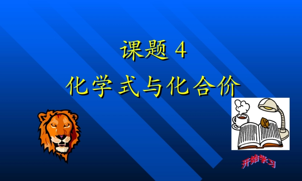 九年级化学化学式与化合价课件一 新课标 人教版 课件