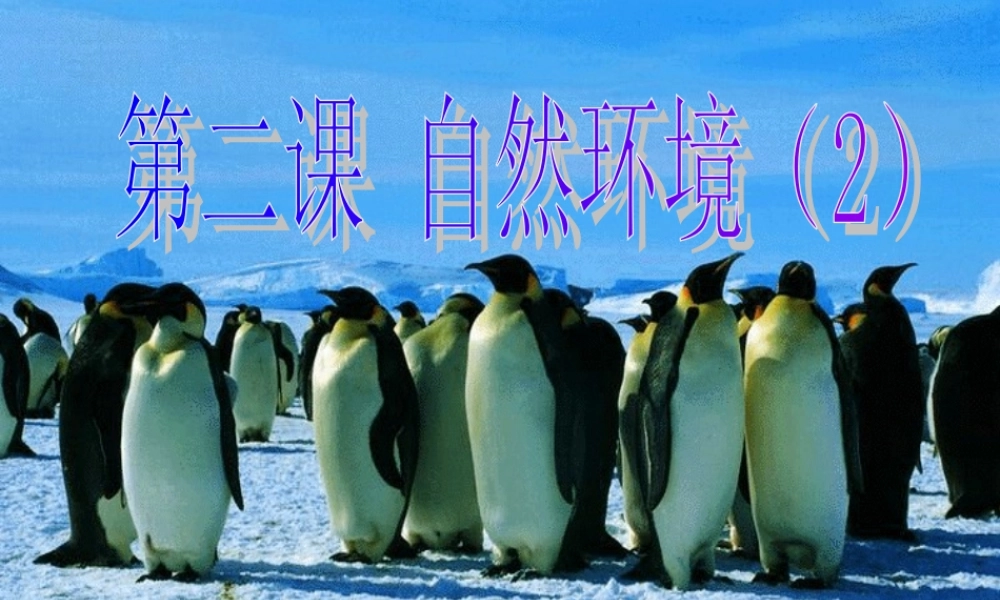 七年级历史与社会上册 第二课第二课 自然环境(2)课件 人教新课标版 课件