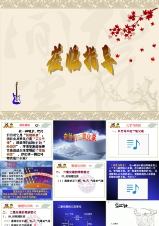 九年级化学上册第二章第三节 奇妙的二氧化碳课件沪教版 课件