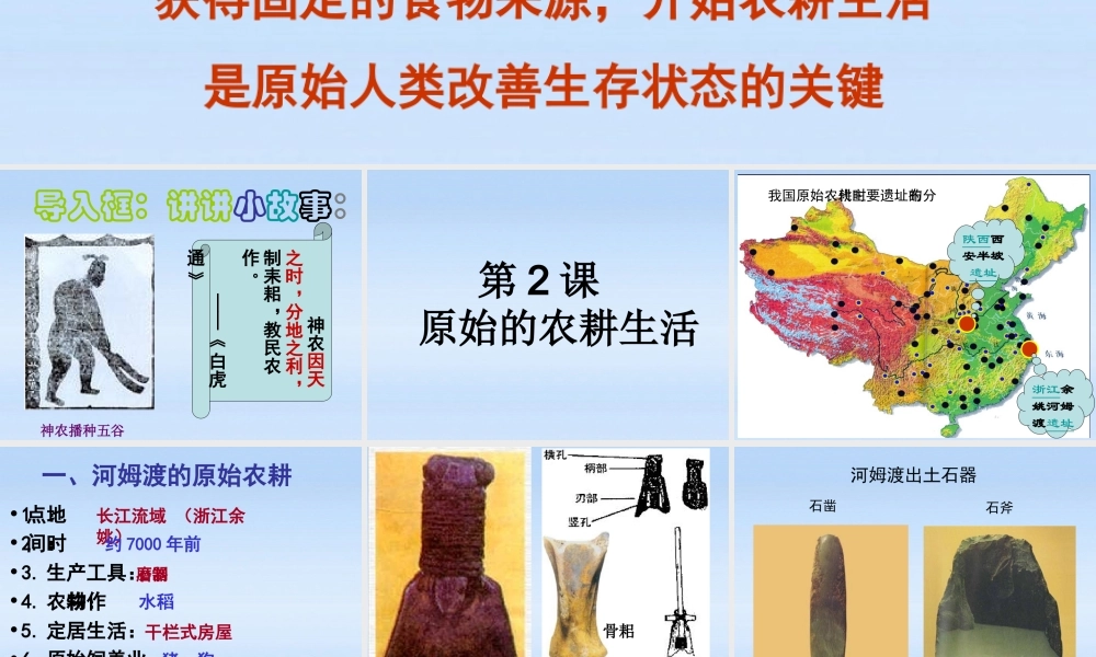 七年级历史上册 第2课(原始的农耕生活)课件 人教新课标版 课件