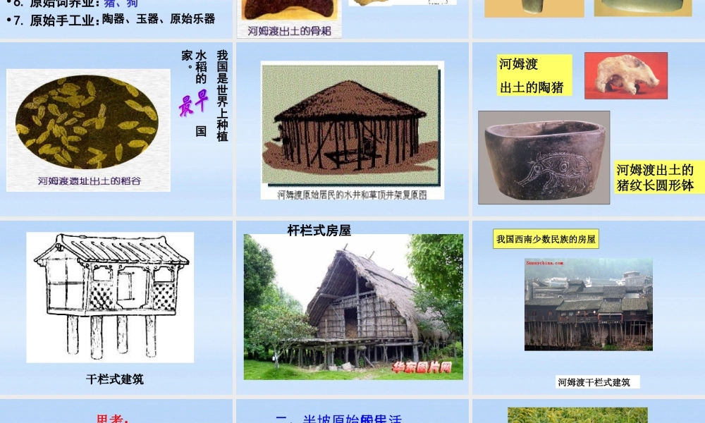 七年级历史上册 第2课(原始的农耕生活)课件 人教新课标版 课件