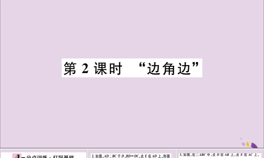 (通用)秋八年级数学上册 12.2 三角形全等的判定 第2课时 边角边 习题讲评课件 (新版)新人教版 课件