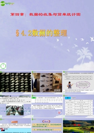 七年级数学上册 4.2数据的整理课件 青岛版 课件