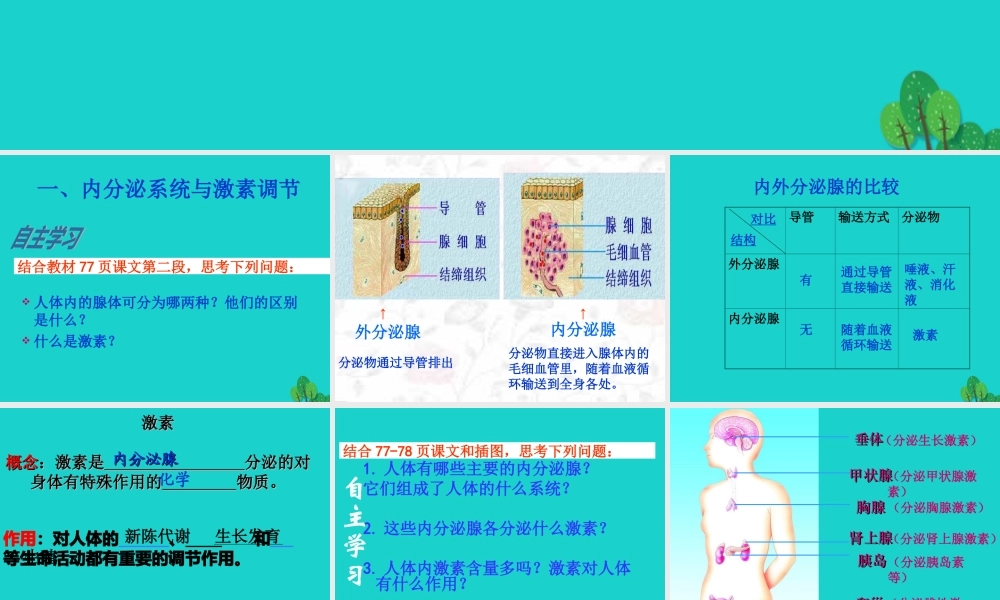 七年级生物下册 第三单元 第五章 第一节 人体的激素调节课件 (新版)济南版 课件