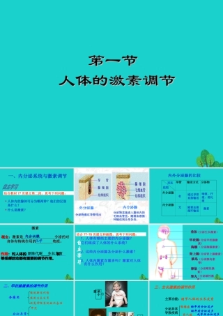 七年级生物下册 第三单元 第五章 第一节 人体的激素调节课件 (新版)济南版 课件