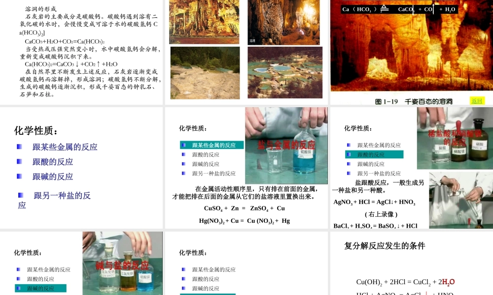 九年级化学 (62 二氧化碳制取的研究)课件1人教版 课件