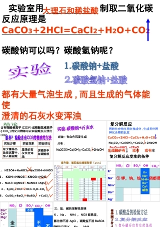 九年级化学 (62 二氧化碳制取的研究)课件1人教版 课件