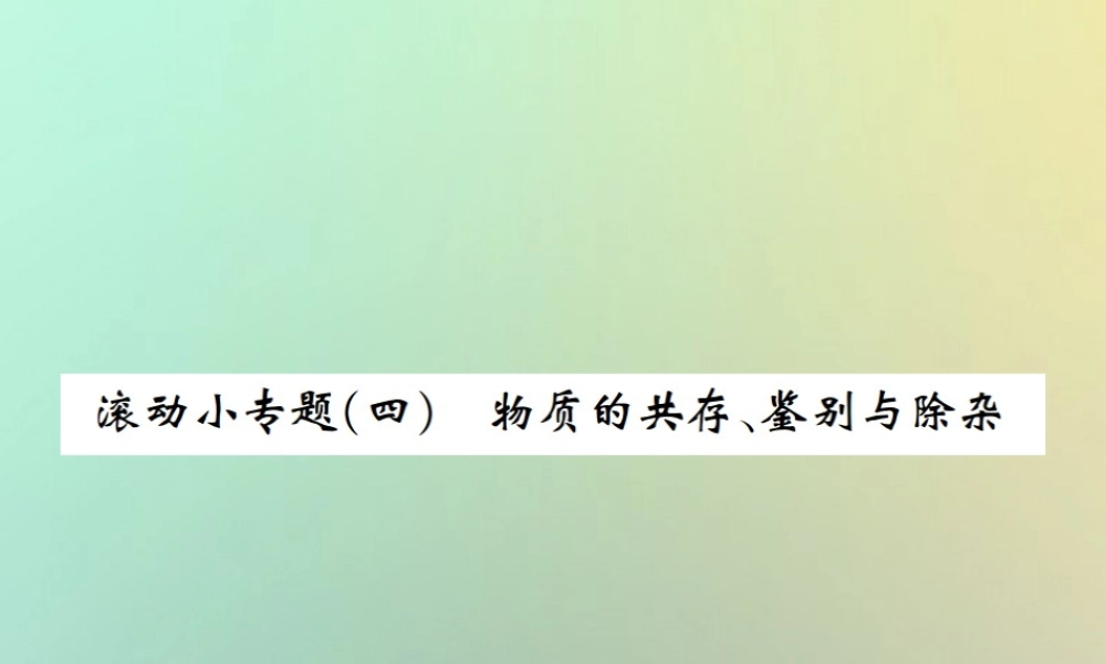 九年级化学下册 第十一单元 盐 化肥滚动小专题(四)课件 (新版)新人教版 课件