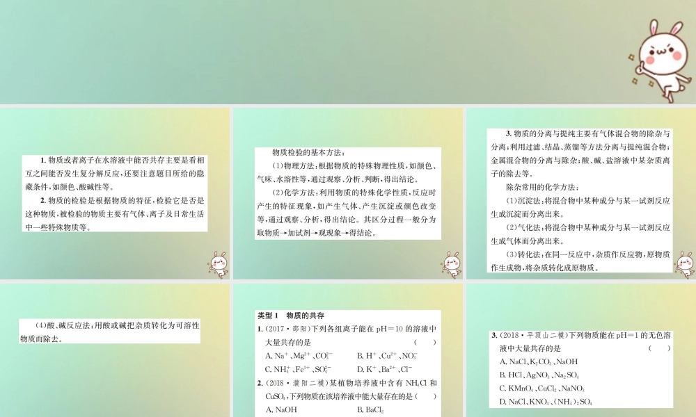 九年级化学下册 第十一单元 盐 化肥滚动小专题(四)课件 (新版)新人教版 课件