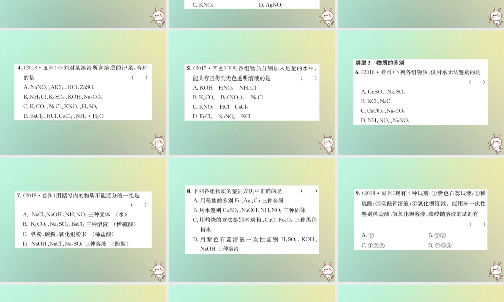 九年级化学下册 第十一单元 盐 化肥滚动小专题(四)课件 (新版)新人教版 课件