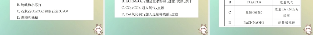 九年级化学下册 第十一单元 盐 化肥滚动小专题(四)课件 (新版)新人教版 课件