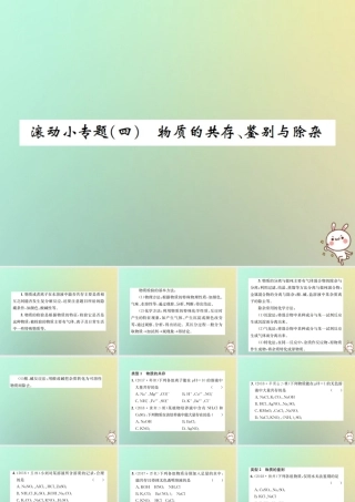 九年级化学下册 第十一单元 盐 化肥滚动小专题(四)课件 (新版)新人教版 课件