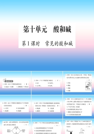 (云南专用)中考化学总复习 第1部分 教材系统复习 九下 第10单元 酸和碱 第1课时 常见的酸和碱(精练)课件