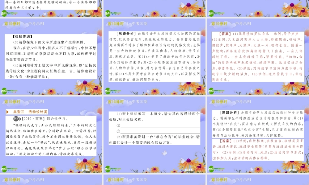 中考语文复习方案 (综合性学习)课件 人教新课标版 课件