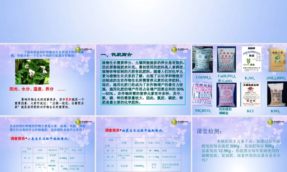九年级化学下册 112 化学肥料课件 新人教版 课件