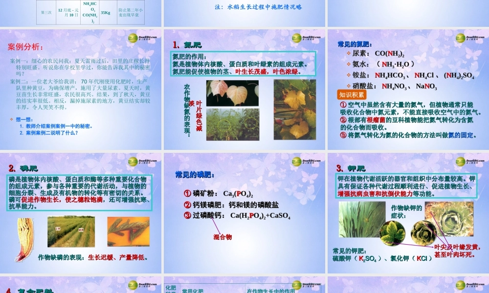 九年级化学下册 112 化学肥料课件 新人教版 课件
