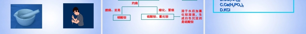 九年级化学下册 112 化学肥料课件 新人教版 课件
