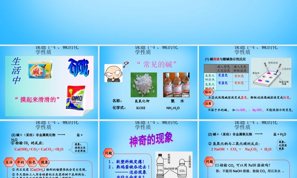 九年级化学下册 101 常见的酸和碱课件 (新版)新人教版 课件