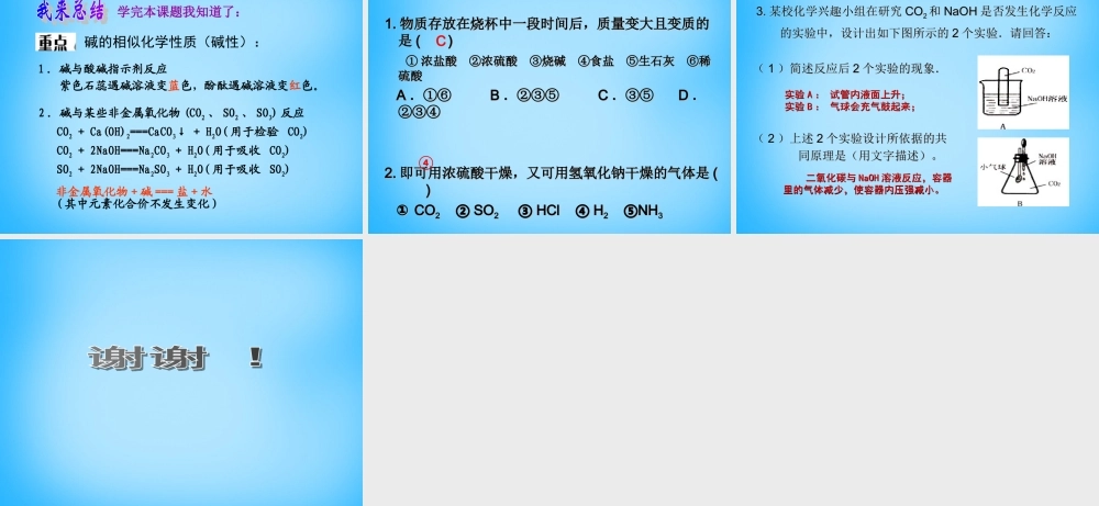 九年级化学下册 101 常见的酸和碱课件 (新版)新人教版 课件