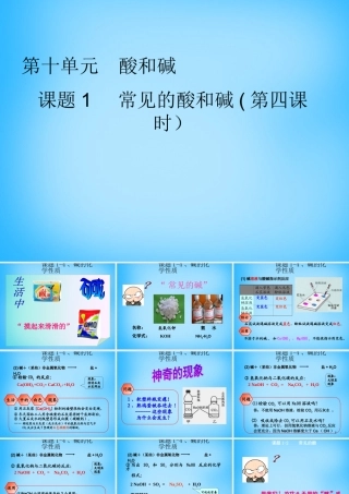 九年级化学下册 101 常见的酸和碱课件 (新版)新人教版 课件