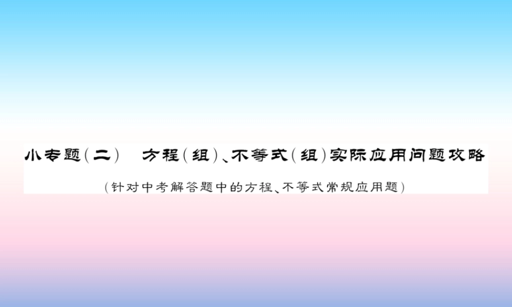 (课标版通用)中考数学总复习 第二轮 小专题集训 题型专攻 小专题(二)习题课件