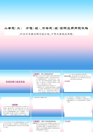 (课标版通用)中考数学总复习 第二轮 小专题集训 题型专攻 小专题(二)习题课件