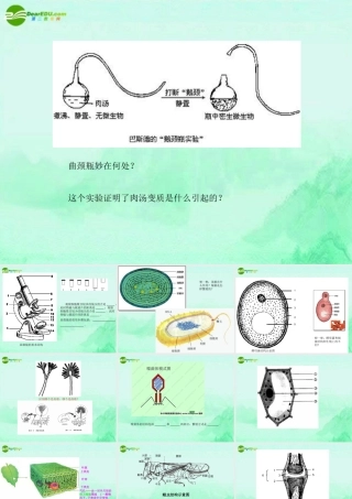 中考生物 课本上常见的重点图素材