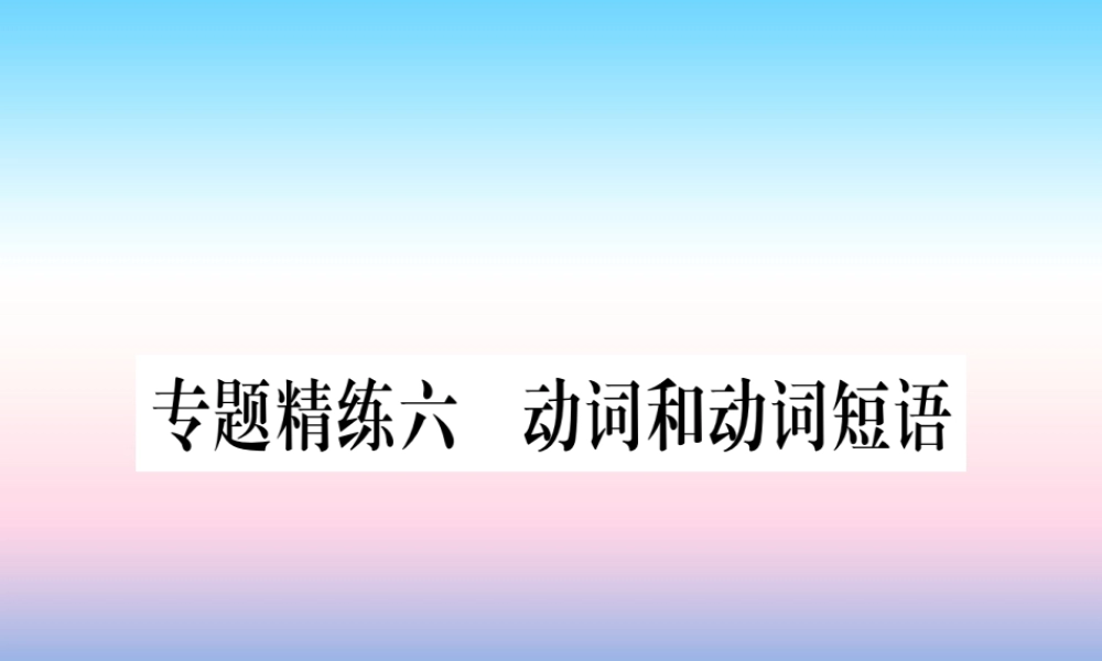 中考英语准点备考 专题精练六 动词和动词短语课件