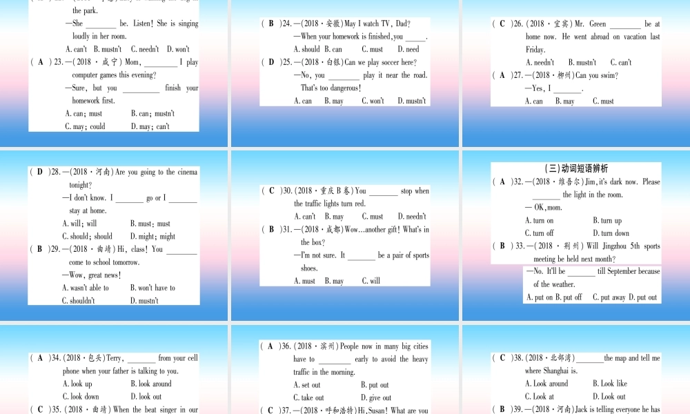 中考英语准点备考 专题精练六 动词和动词短语课件