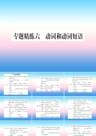 中考英语准点备考 专题精练六 动词和动词短语课件