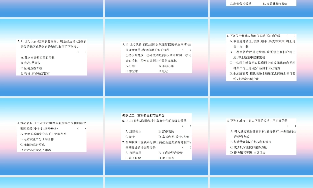 九年级历史上册 第5单元 步入近代 第13课 西欧经济和社会的发展作业课件 新人教版 课件