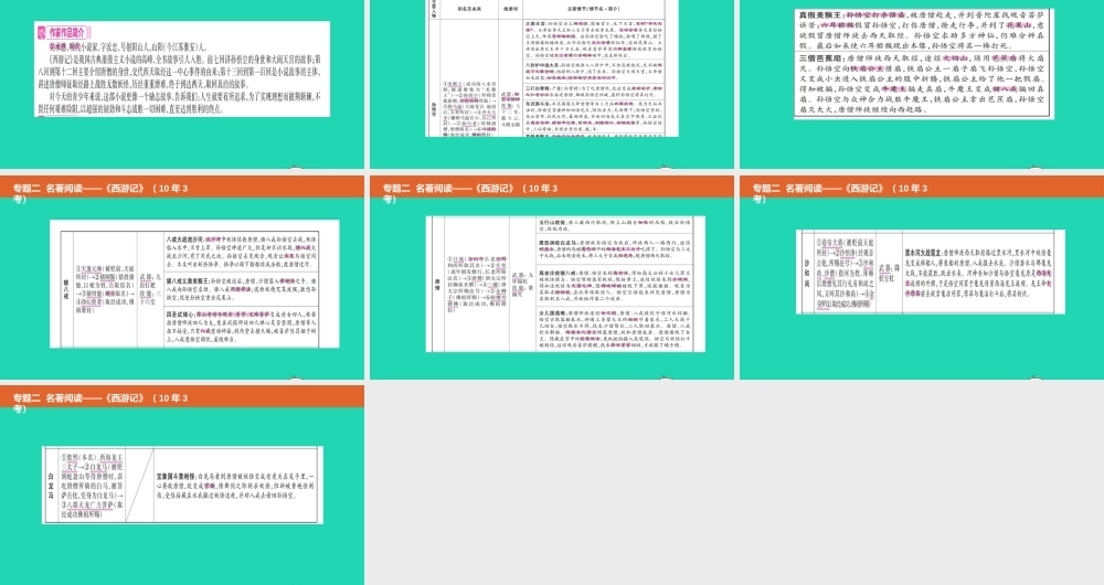 中考语文总复习 第二部分 语文积累与综合运用 专题二 名著阅读(西游记)课件