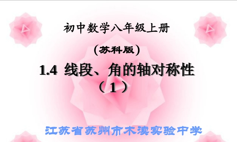 ~八年级数学上册第一章 轴对称图形 1.4 线段、角是轴对称性(1)课件 苏科版 课件