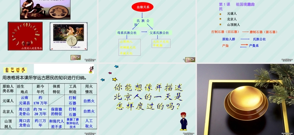 七年级历史第1课祖国境内的远古居民课件