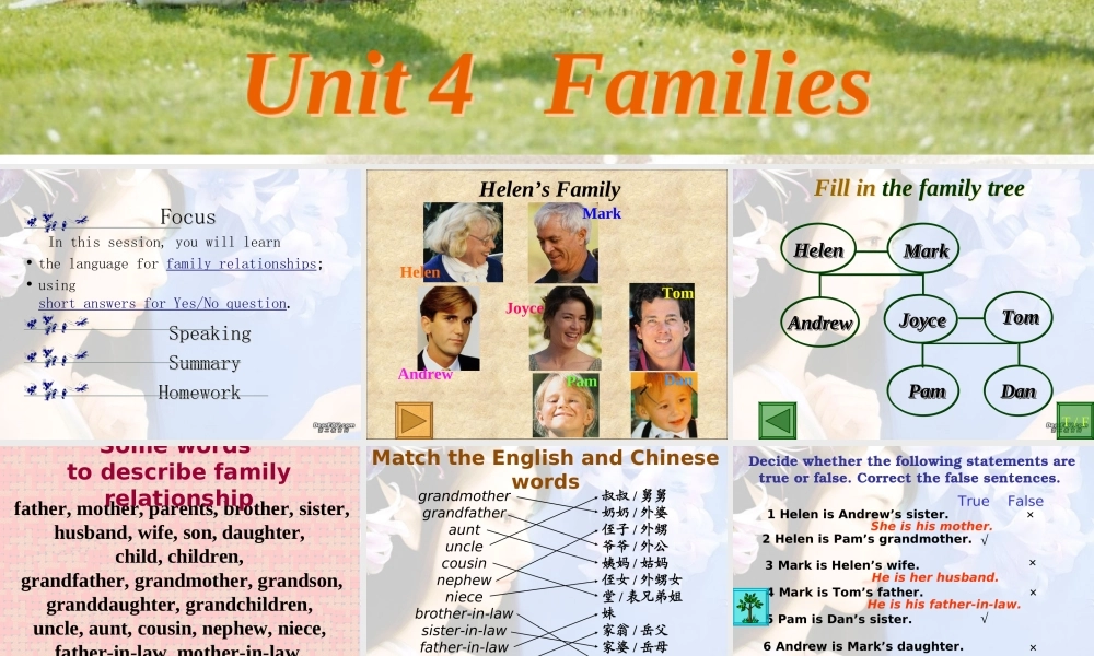 06年广东地区英语科Unit4 Families 新课标 课件
