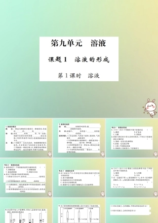 九年级化学下册 第九单元 溶液 课题1 溶液的形成 第1课时 溶液习题课件 (新版)新人教版 课件
