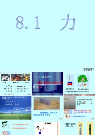 8。1力 八年级物理力课件(含flash)粤教沪版 八年级物理力课件(含flash)粤教沪版