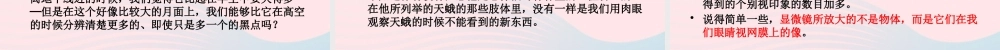 为什么显微镜能够放大 八年级物理全册 第四章 多彩的光 第六节 神奇的眼睛(第2课时)素材(新版)沪科版 八年级物理全册 第四章 多彩的光 第六节 神奇的眼睛(第2课时)素材(新版)沪科版