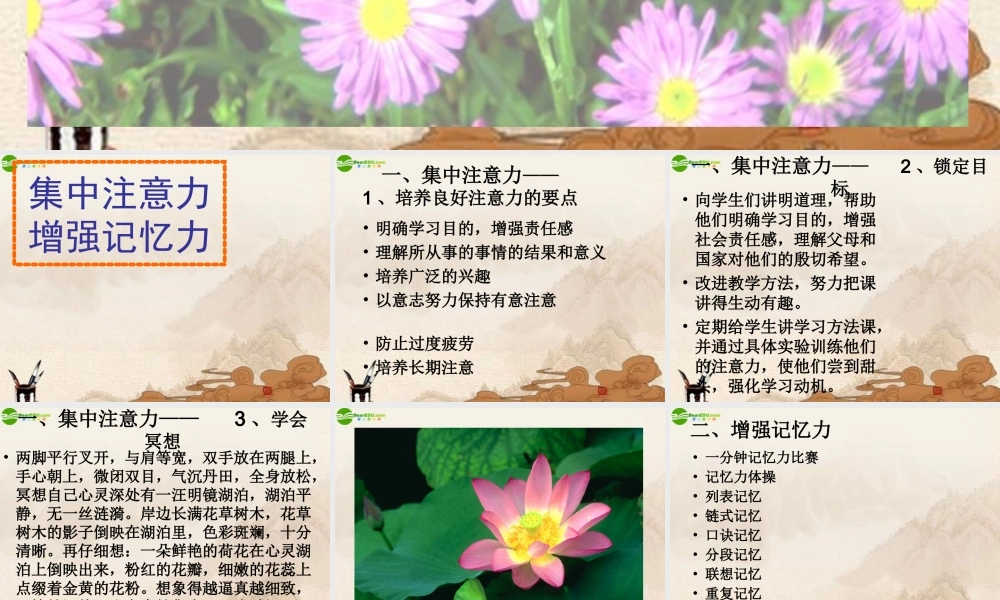 七年级政治上册 学习方法系列讲座(4)课件 人教新课标版 课件