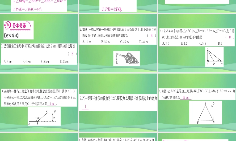 (江西专用)八年级数学上册 第13章 轴对称 13.3 等腰三角形 13.3.2 等边三角形 第2课时 含30°角的直角三角形的性质作业课件 (新版)新人教版 课件