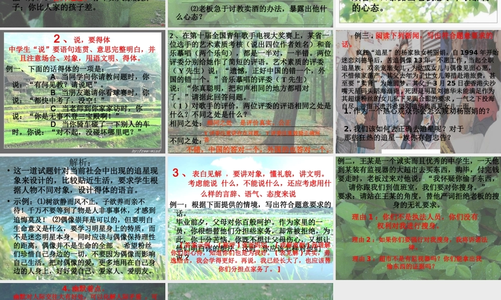 中考语文 复习(口语交际与综合探究)课件 人教新课标版 课件