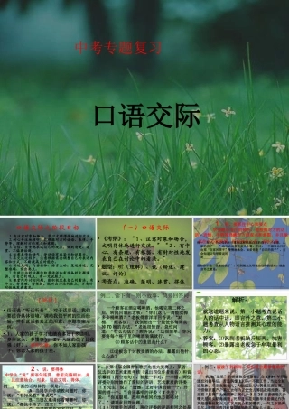 中考语文 复习(口语交际与综合探究)课件 人教新课标版 课件