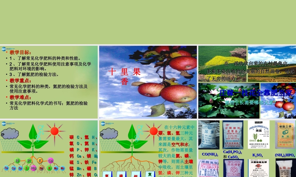 九年级化学下册 第十一单元 课题2 化学肥料课件2 (新版)新人教版 课件