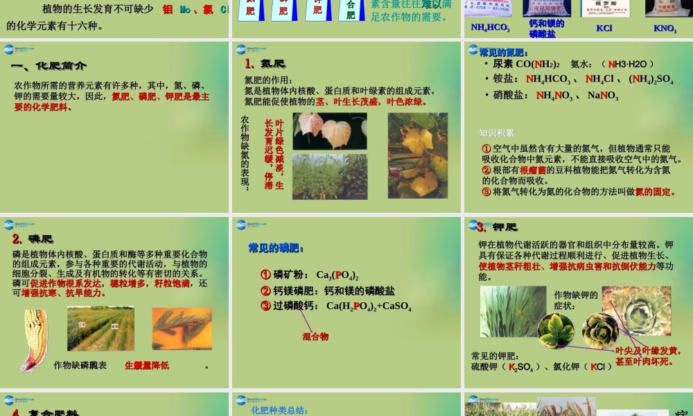 九年级化学下册 第十一单元 课题2 化学肥料课件2 (新版)新人教版 课件