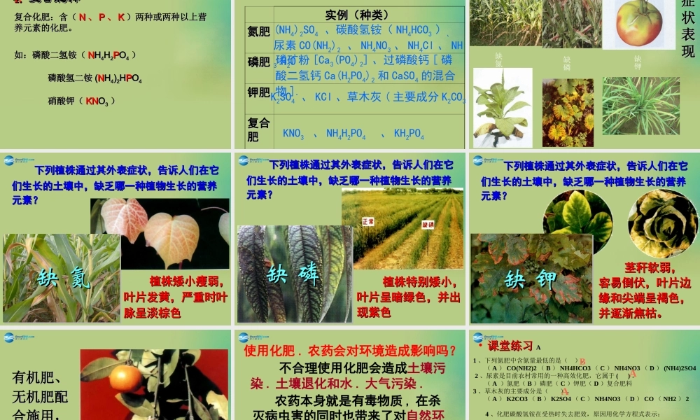 九年级化学下册 第十一单元 课题2 化学肥料课件2 (新版)新人教版 课件