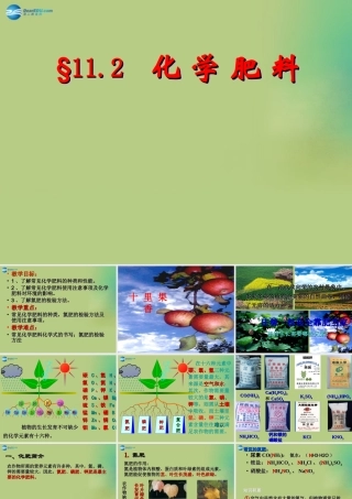 九年级化学下册 第十一单元 课题2 化学肥料课件2 (新版)新人教版 课件