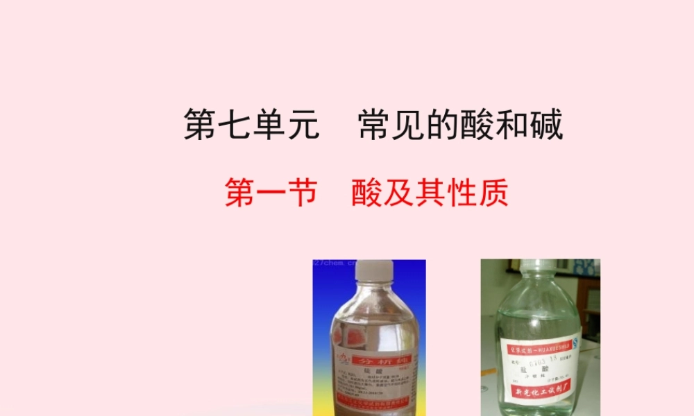九年级化学下册 第七单元 第一节 酸及其性质课件 鲁教版 课件